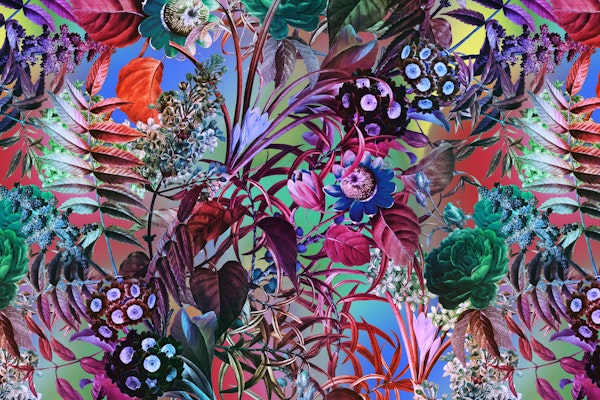 Multicolor Floral Pattern