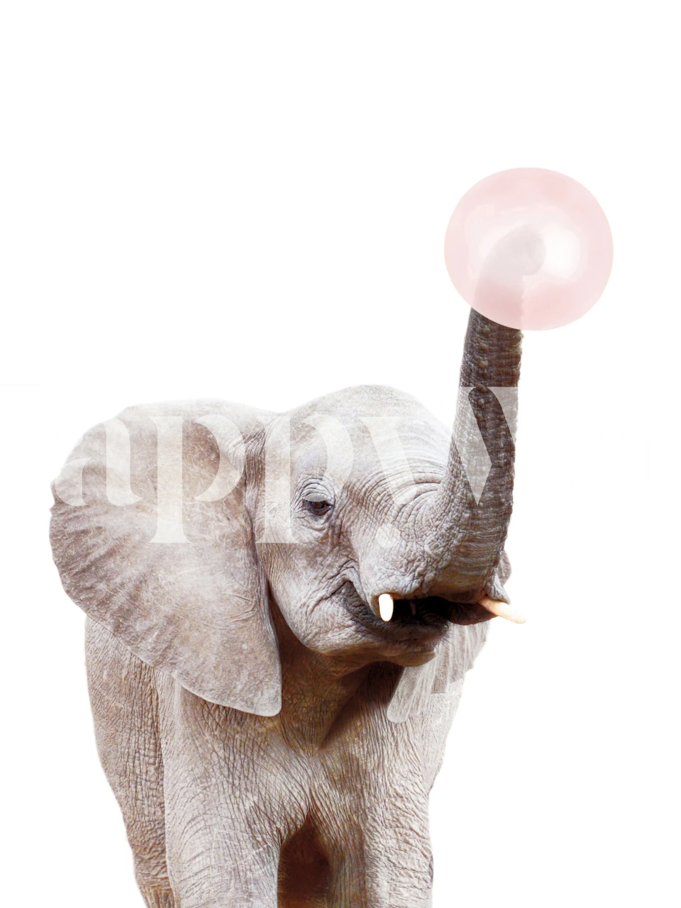 papel tapiz Bubble Gum Elephant en una habitación