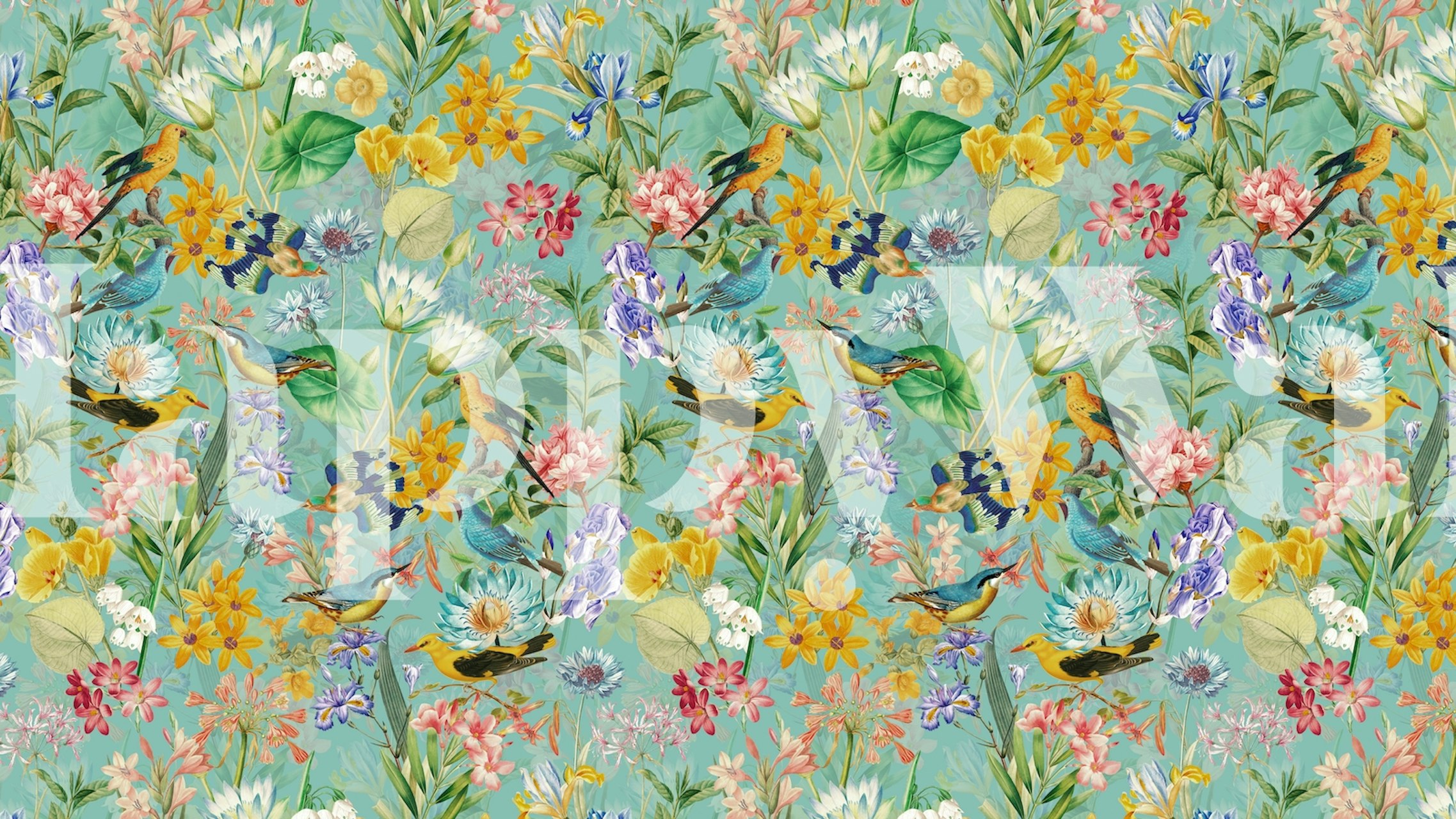 Tropical Bird Garden papel pintado en una habitación