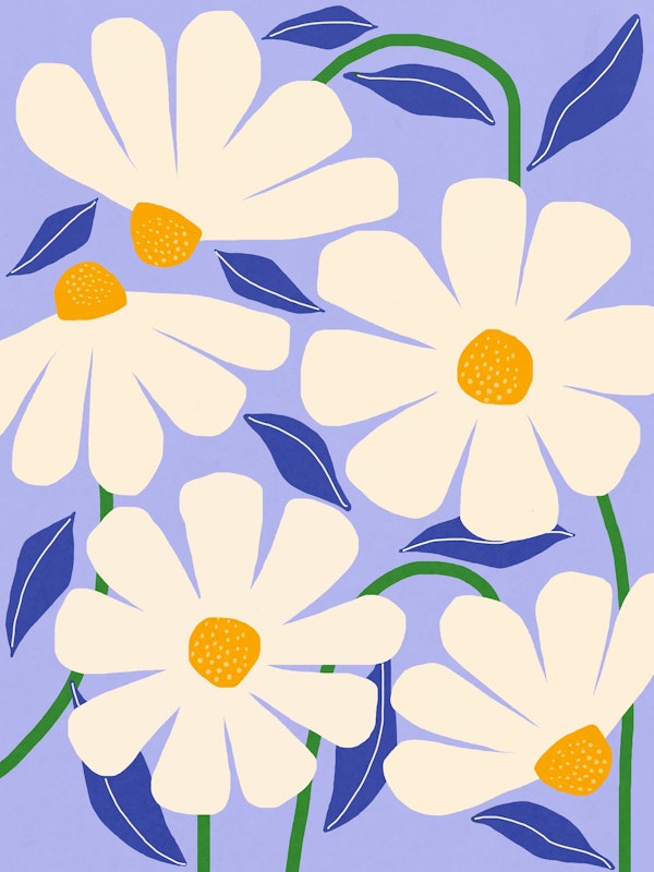 Wild Daisies - periwinkle