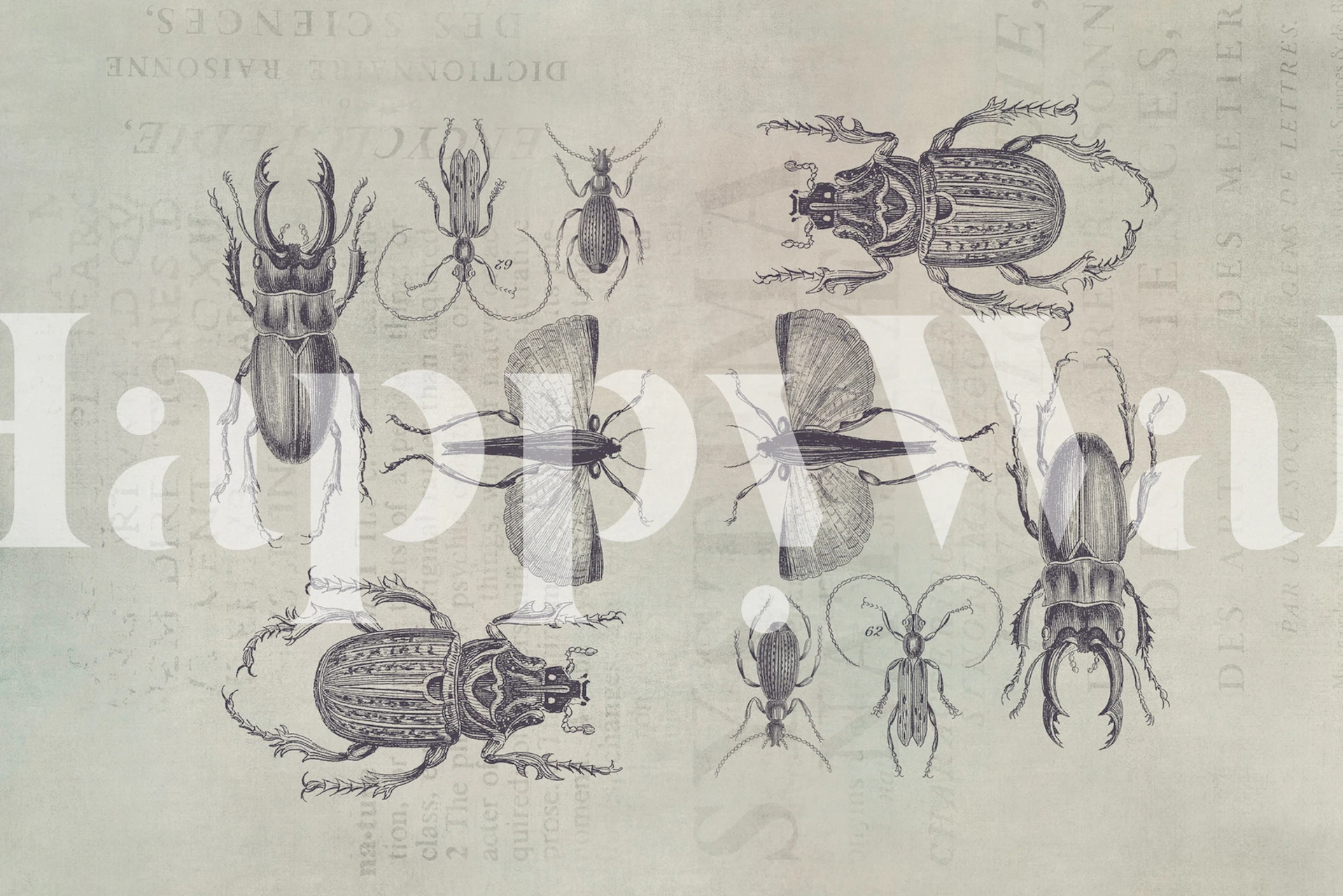 Bugs and Beetles fotobehang met gedetailleerde illustraties van insecten op een vintage achtergrond