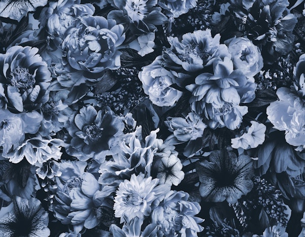 Floral Baroque Opulence Blue