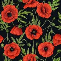 Poppies on black wallpaper