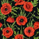 Poppies on black