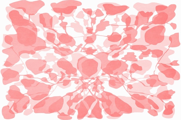 Mystical Rose Ipe In