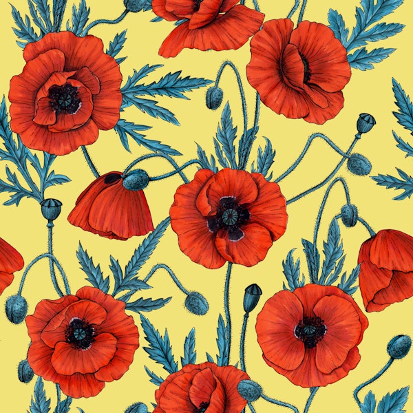 Poppies, red and blue on yellow