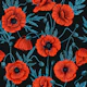 Poppies, red and blue on black