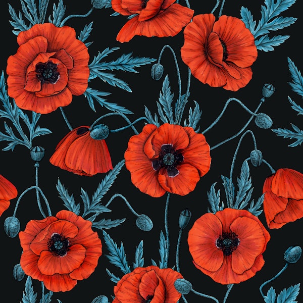 Poppies, red and blue on black