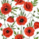 Poppies, red and green on white