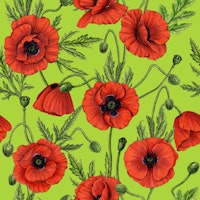 Poppies, red and green tapeta