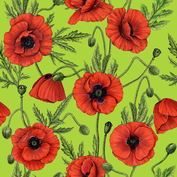 Poppies, red and green