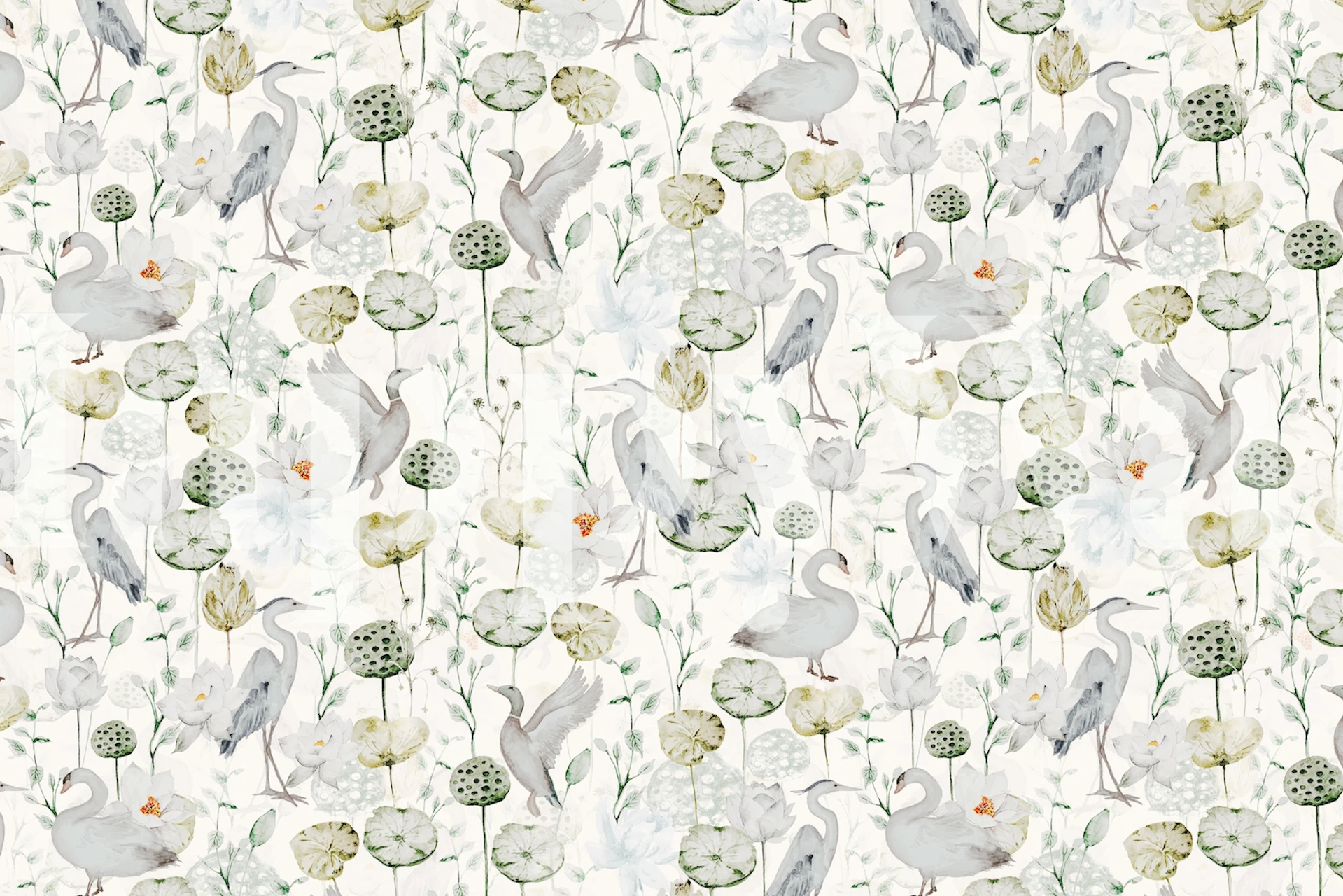 Cranes and lotus flowers in soft colors on white background wallpaper