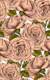 Cream Roses for you
