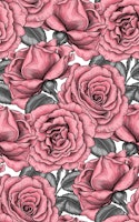 Pink Roses for you tapete