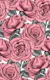 Pink Roses for you