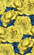 Yellow roses with blue leaves
