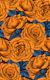 Orange roses with blue leaves