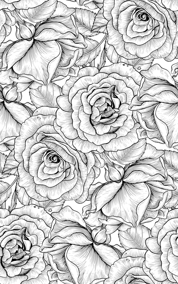 Roses for you, black and white