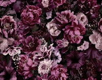 Floral Baroque Opulence wallpaper