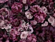 Floral Baroque Opulence