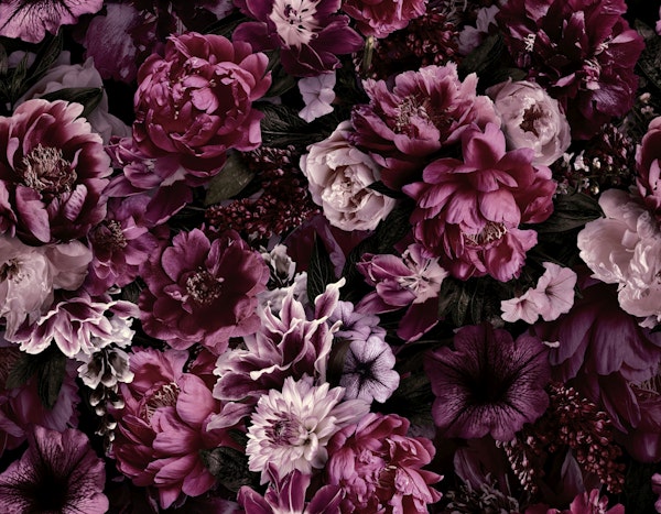 Floral Baroque Opulence