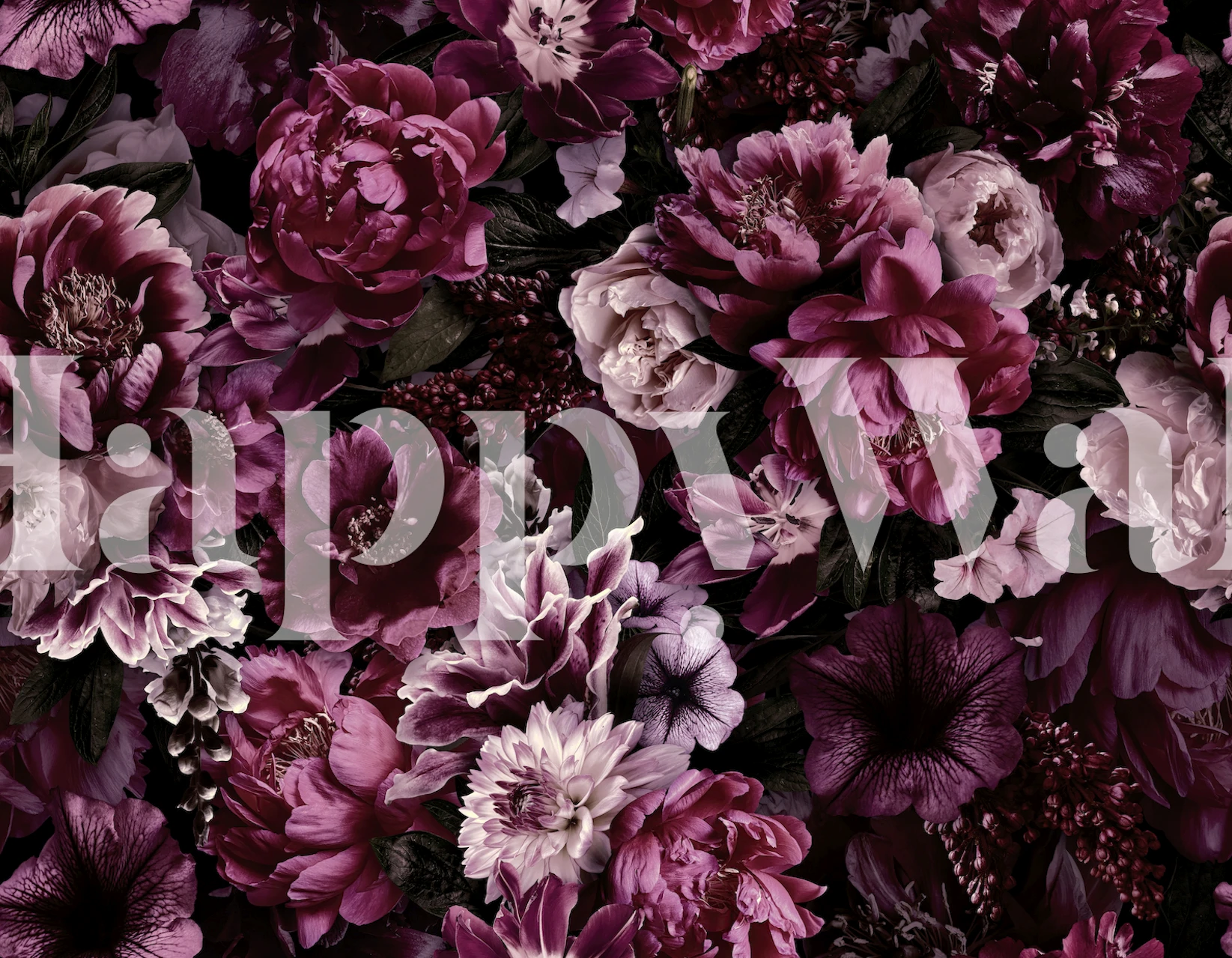 Purple floral patterns with dark backgrounds wallpaper