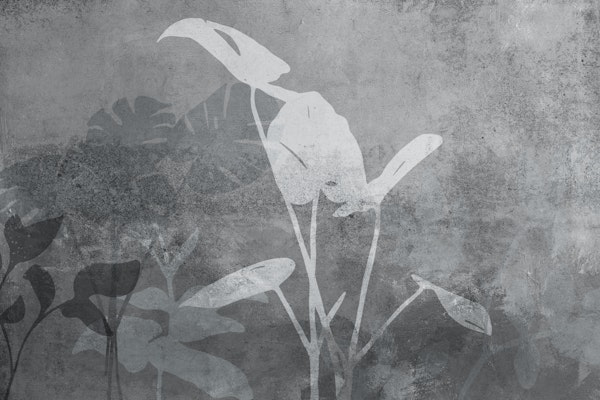 Nature Meets Concrete