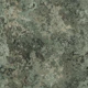 Subtle Moss Texture Sage Green