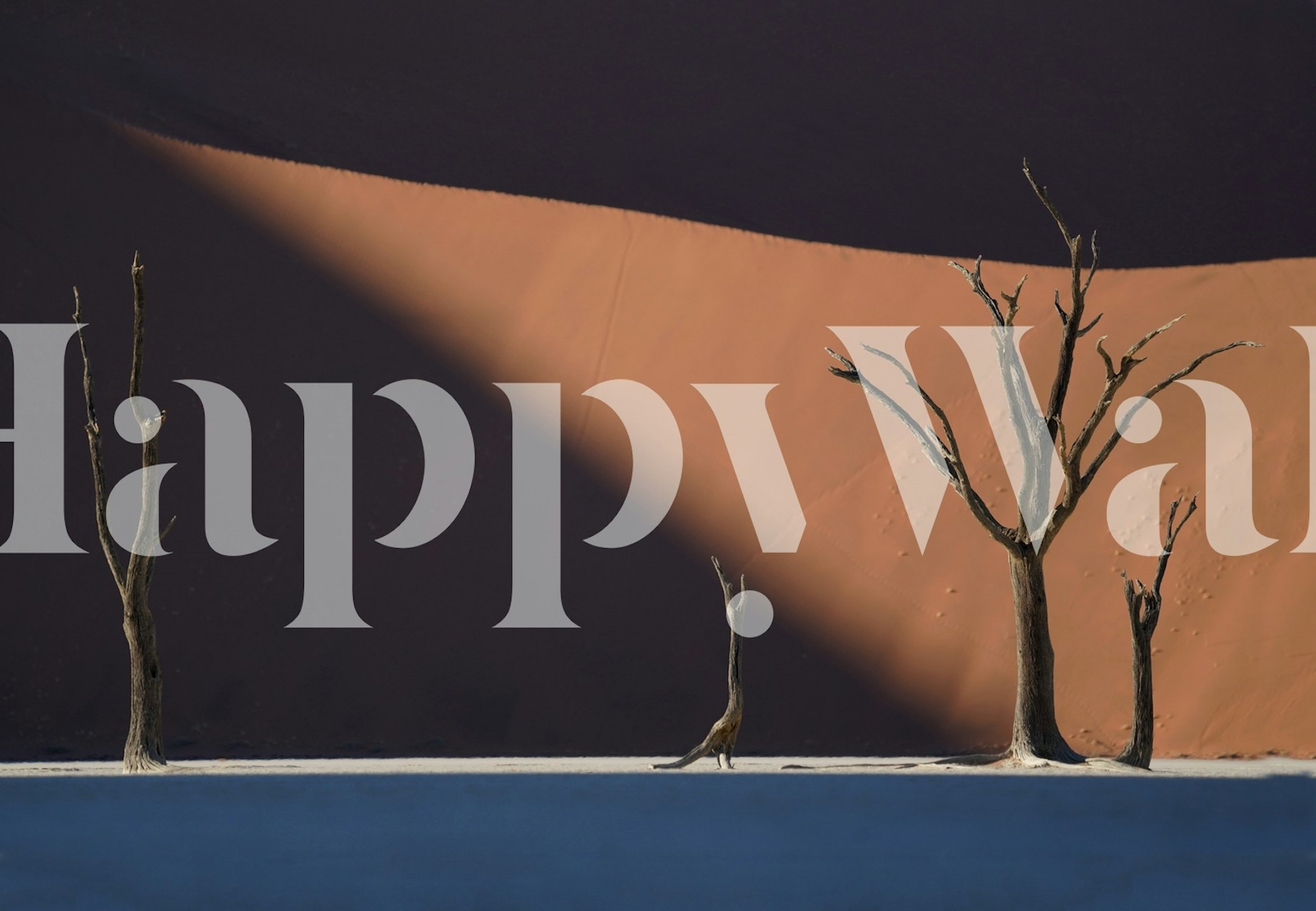 Desert landscape with dead trees and orange sand dunes wallpaper