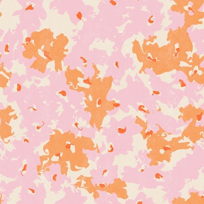 Modello