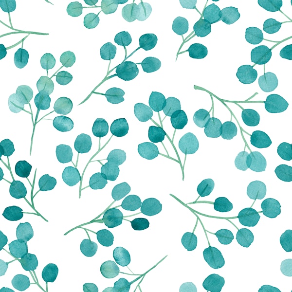 Eucalyptus in watercolors