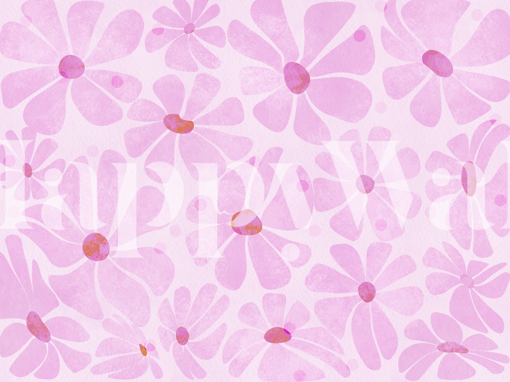 Pink daisies floral pattern wallpaper