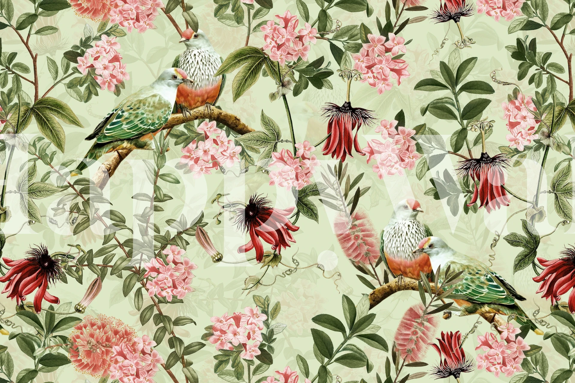 Exotic Birds And Passionflowers 1 w pokoju