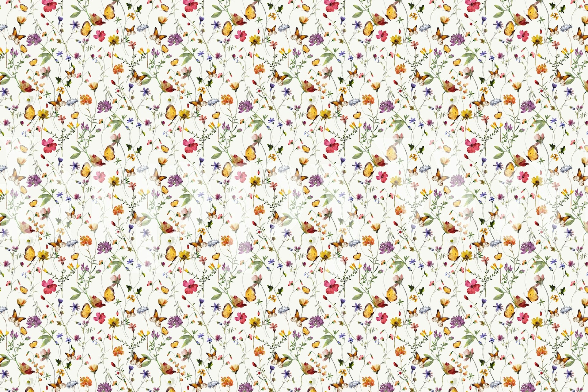 Colorful wildflowers and butterflies on white background wallpaper
