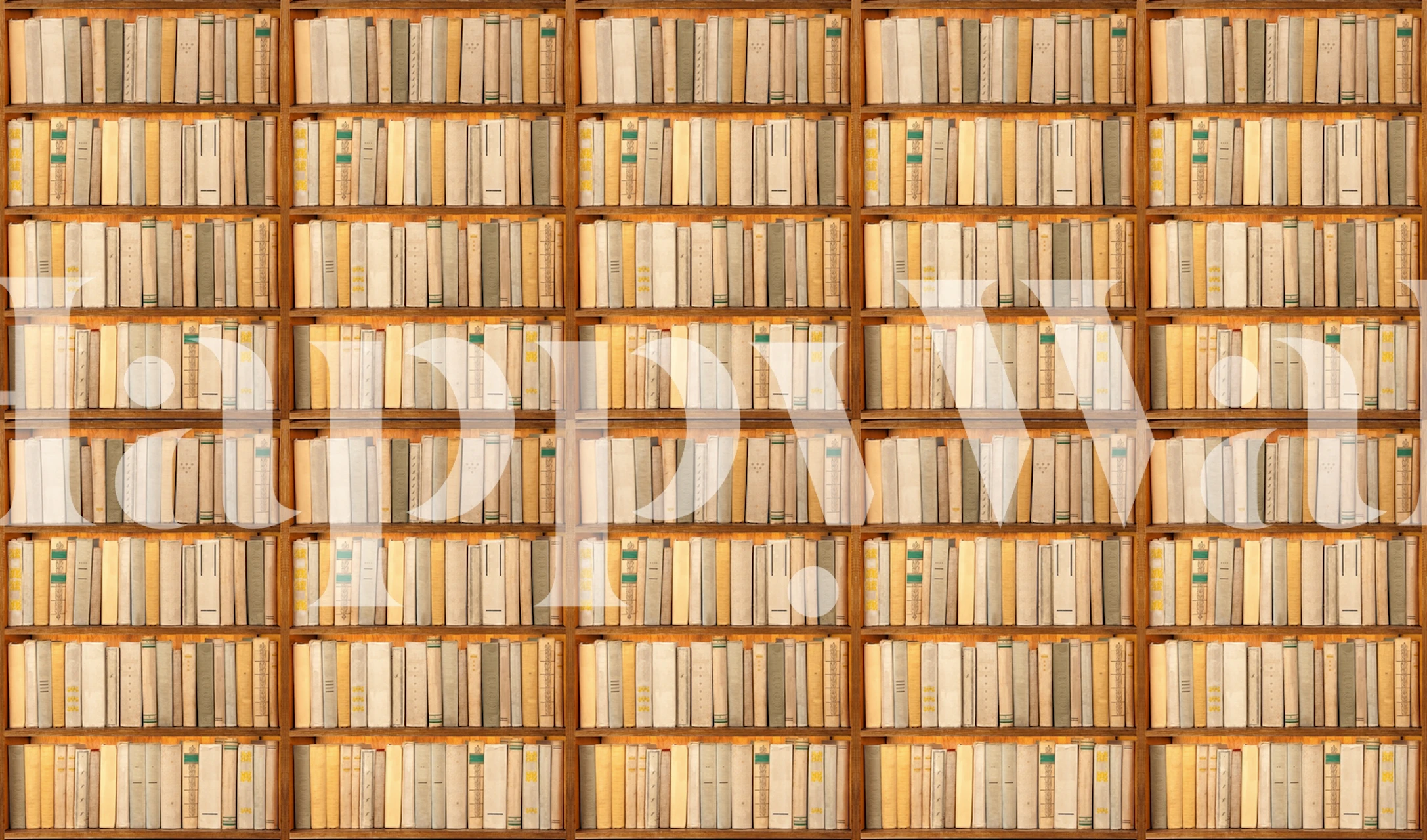 Carta da parati Bookshelf in un ambiente