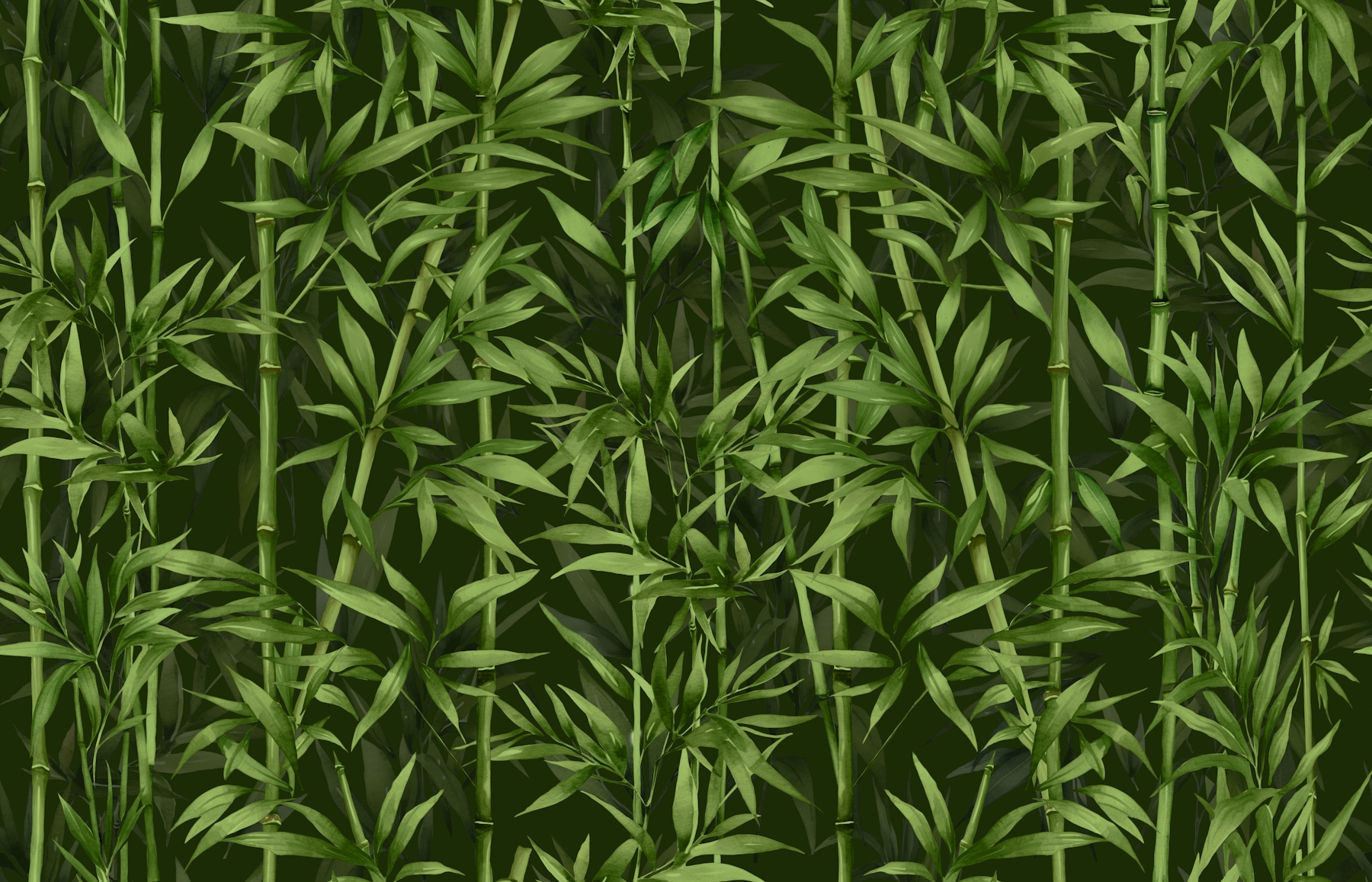 plantadebambú