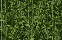 Nature Beauty Bamboo Green carta da parati