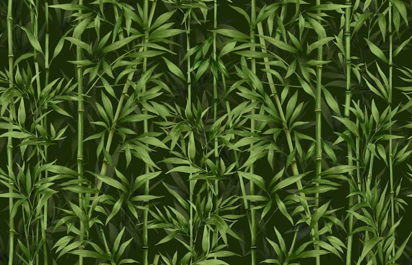 Nature Beauty Bamboo Green