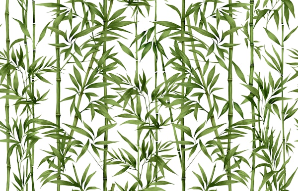 Bamboo green white
