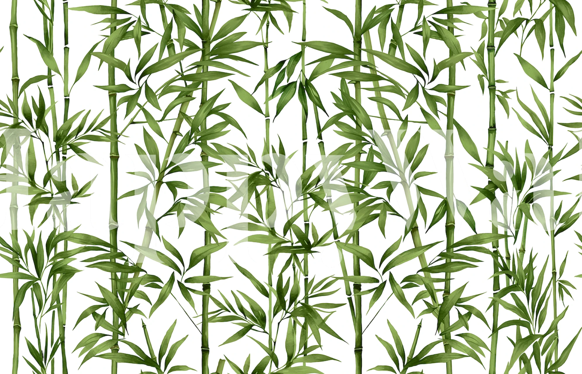 Green bamboo leaves on white background wallpaper