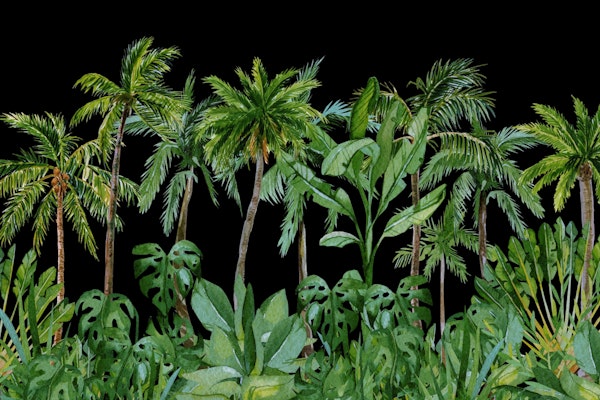 Tropical Palm Cove Black