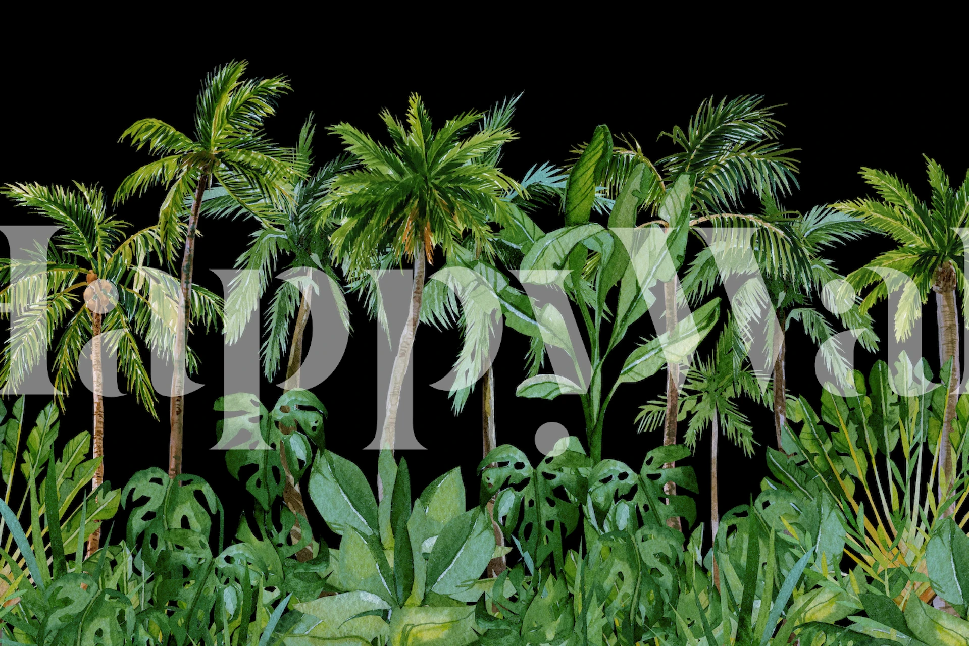 Tropical Palm Cove Black wallpaper in a room