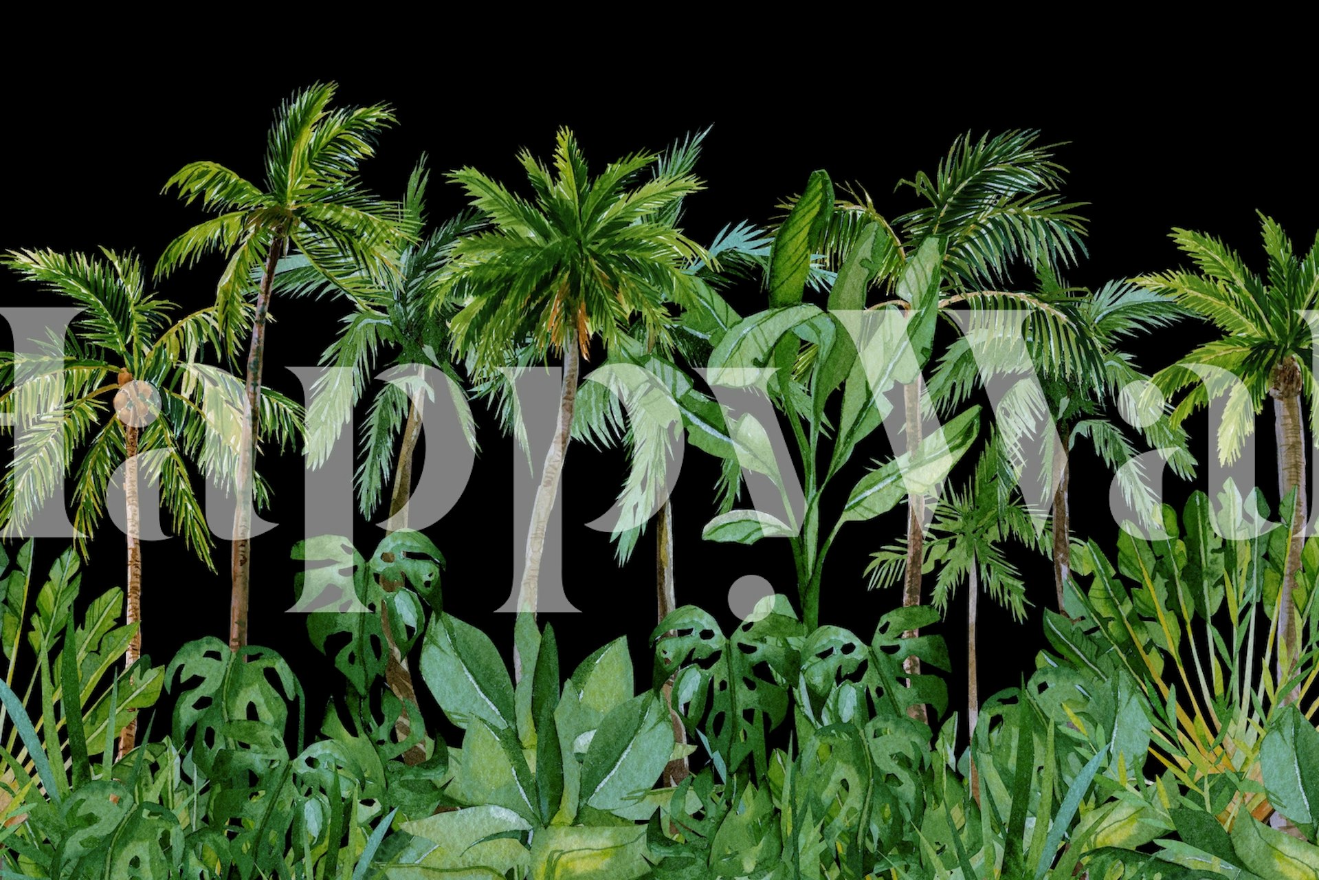 Papel de parede Tropical Palm Cove Black em um quarto