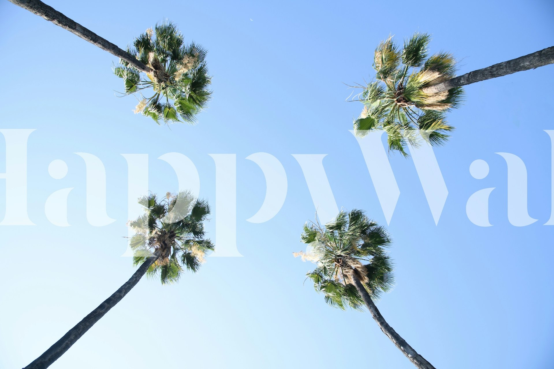 Sob o papel de parede Under the Palm Trees em um quarto