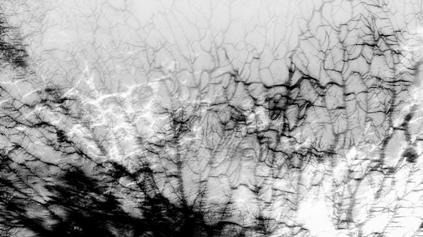 Black White Coral Reef