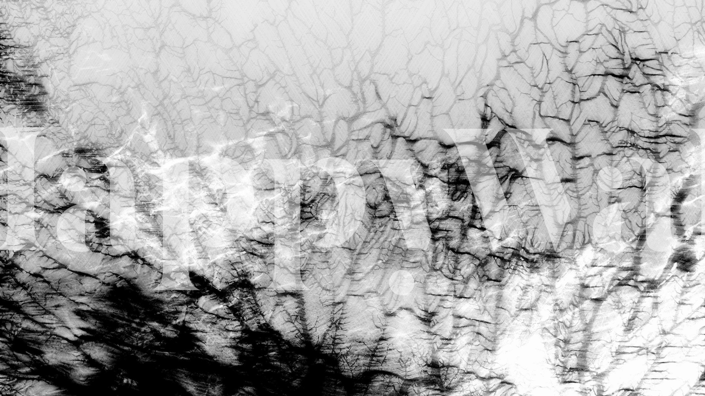 Abstract coral reef design in black and white wallpaper