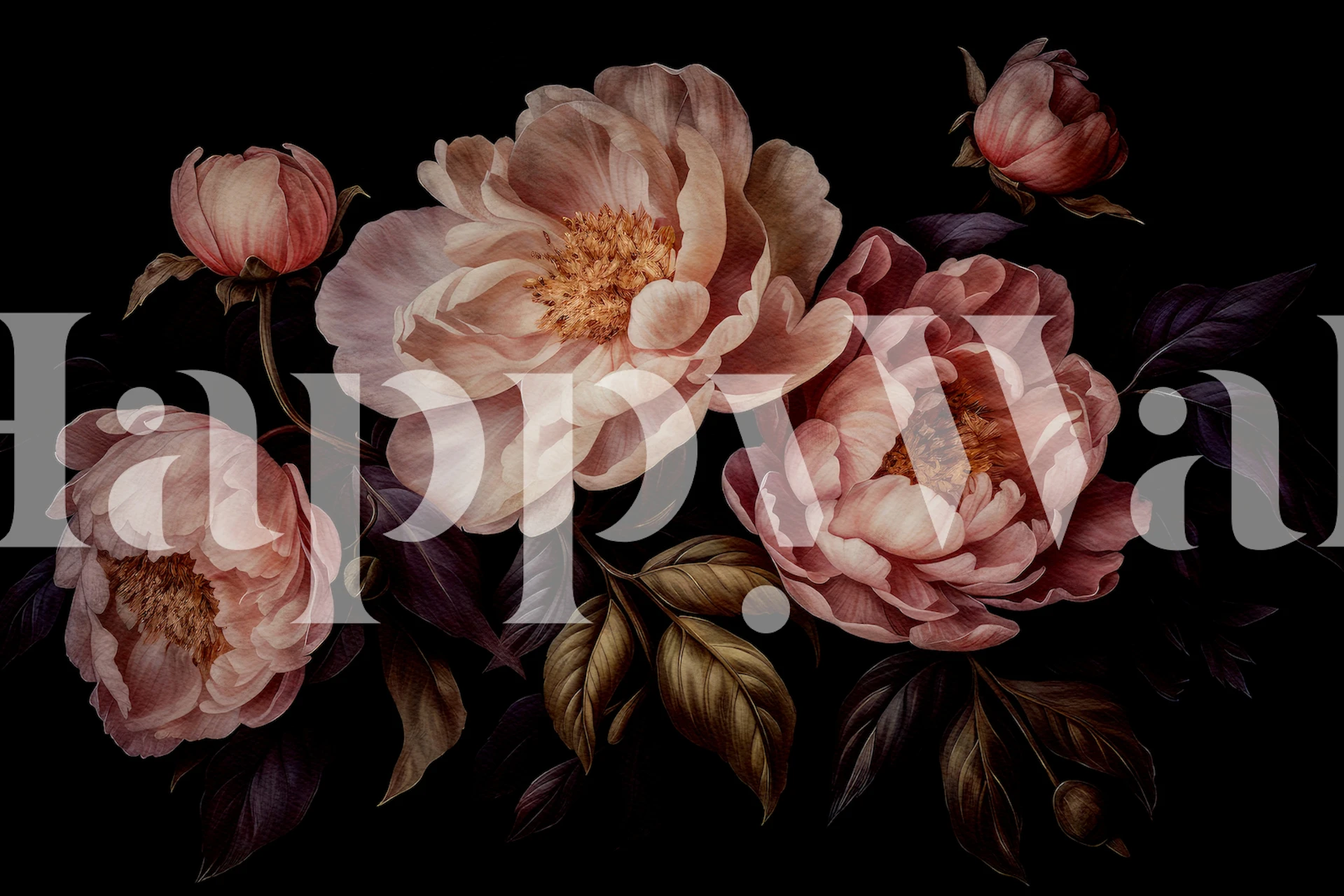 Pink peonies and dark leaves on black background wallpaper