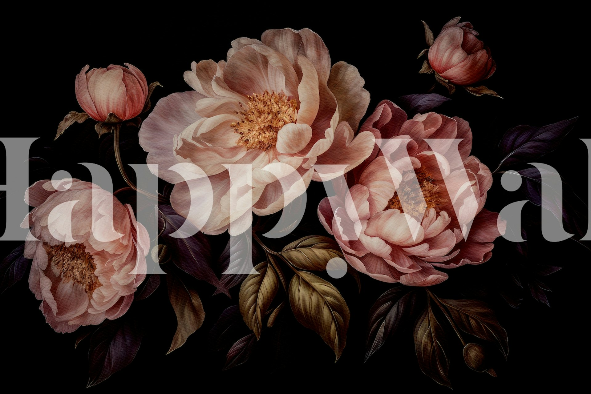 Pink peonies and dark leaves on black background wallpaper