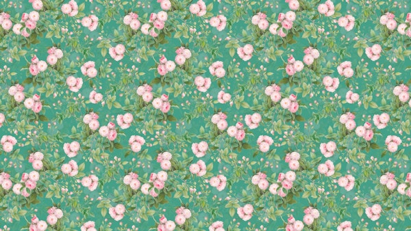 Redoute Rambler Roses Garden