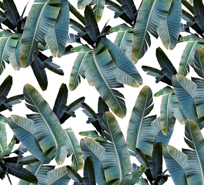 Mural